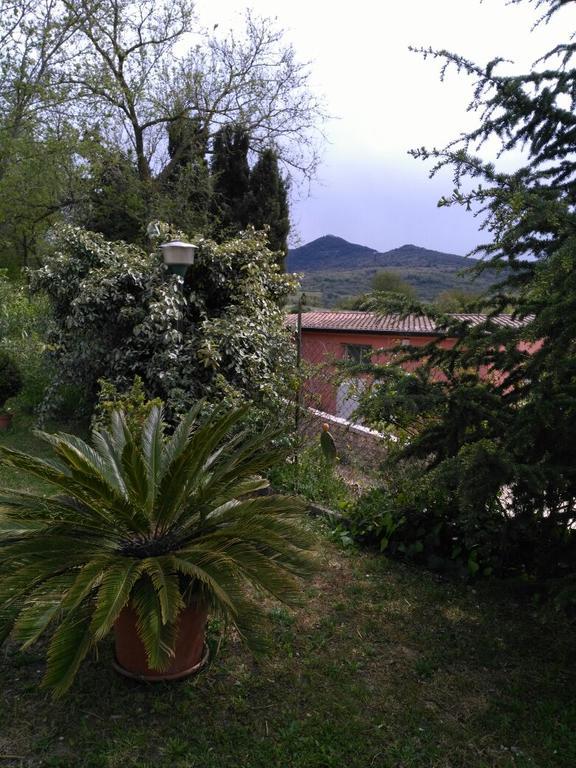 Agriturismo Usurtala Orani エクステリア 写真