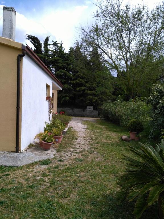Agriturismo Usurtala Orani エクステリア 写真